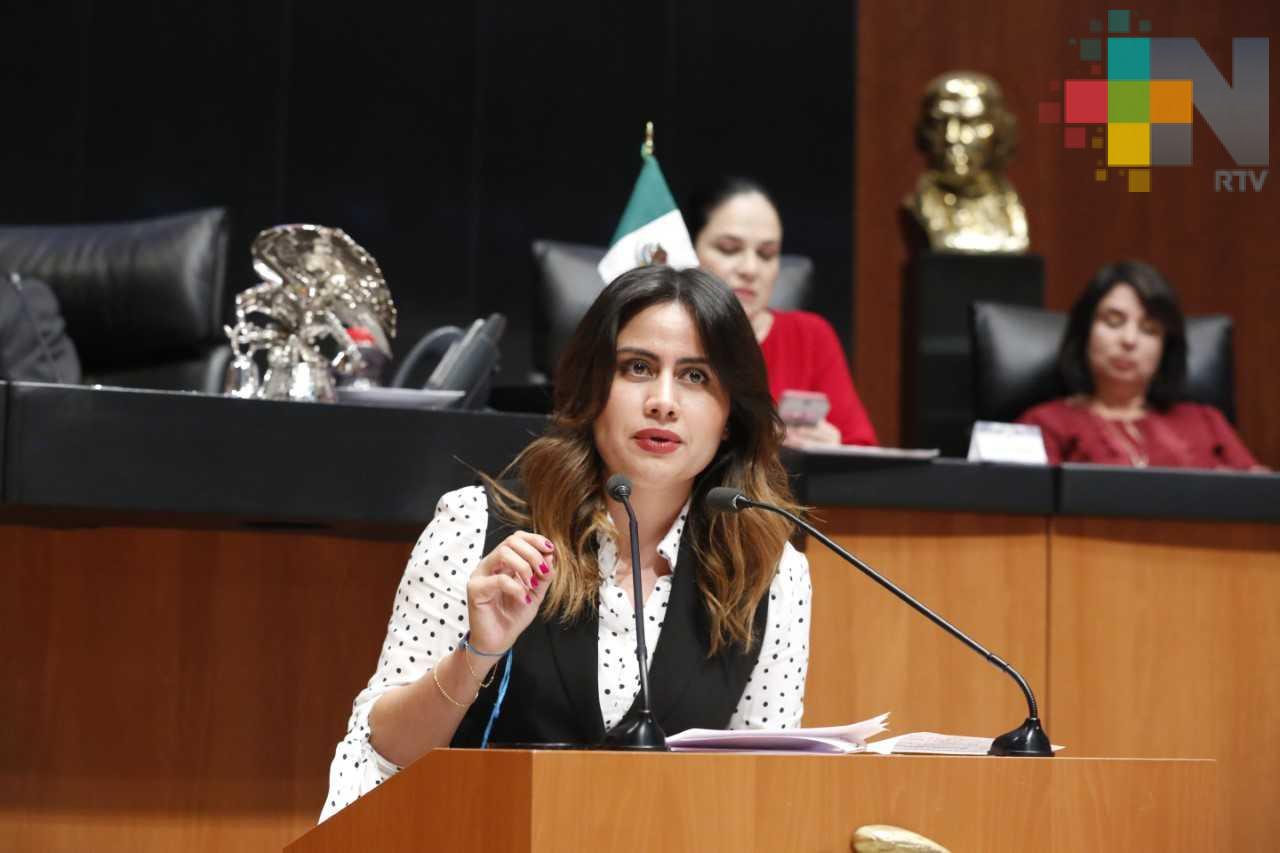 OPLE rechaza sancionar a Julen Rementería por mensajes digitales contra senadora Rosales