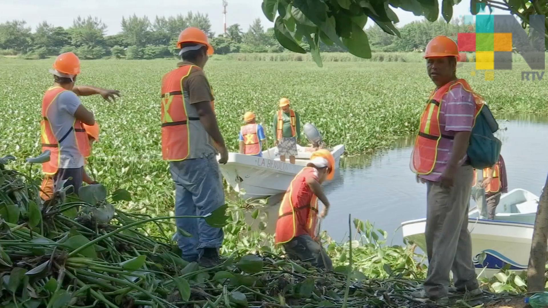 Inicia rehabilitación y recuperación de la Laguna de Lagartos