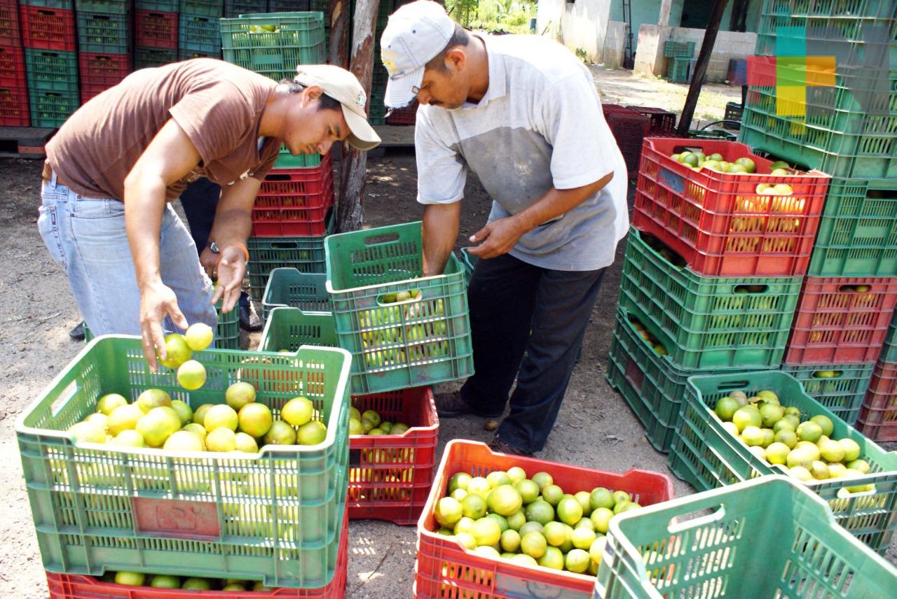 Por concluir entrega de apoyos de Sagarpa en Tuxpan