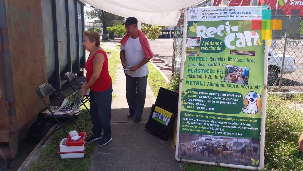 Reciclan para mantener refugio de mascotas abandonadas