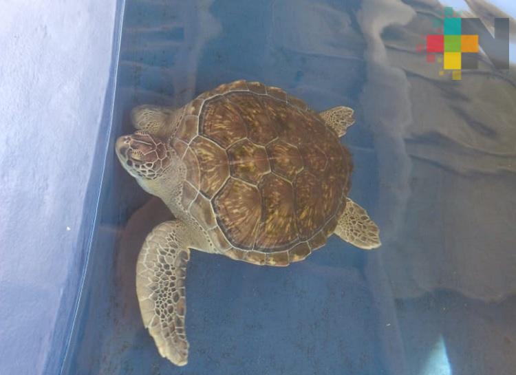 Podrían solicitar cierre definitivo de islas de Enmedio y Salmedina