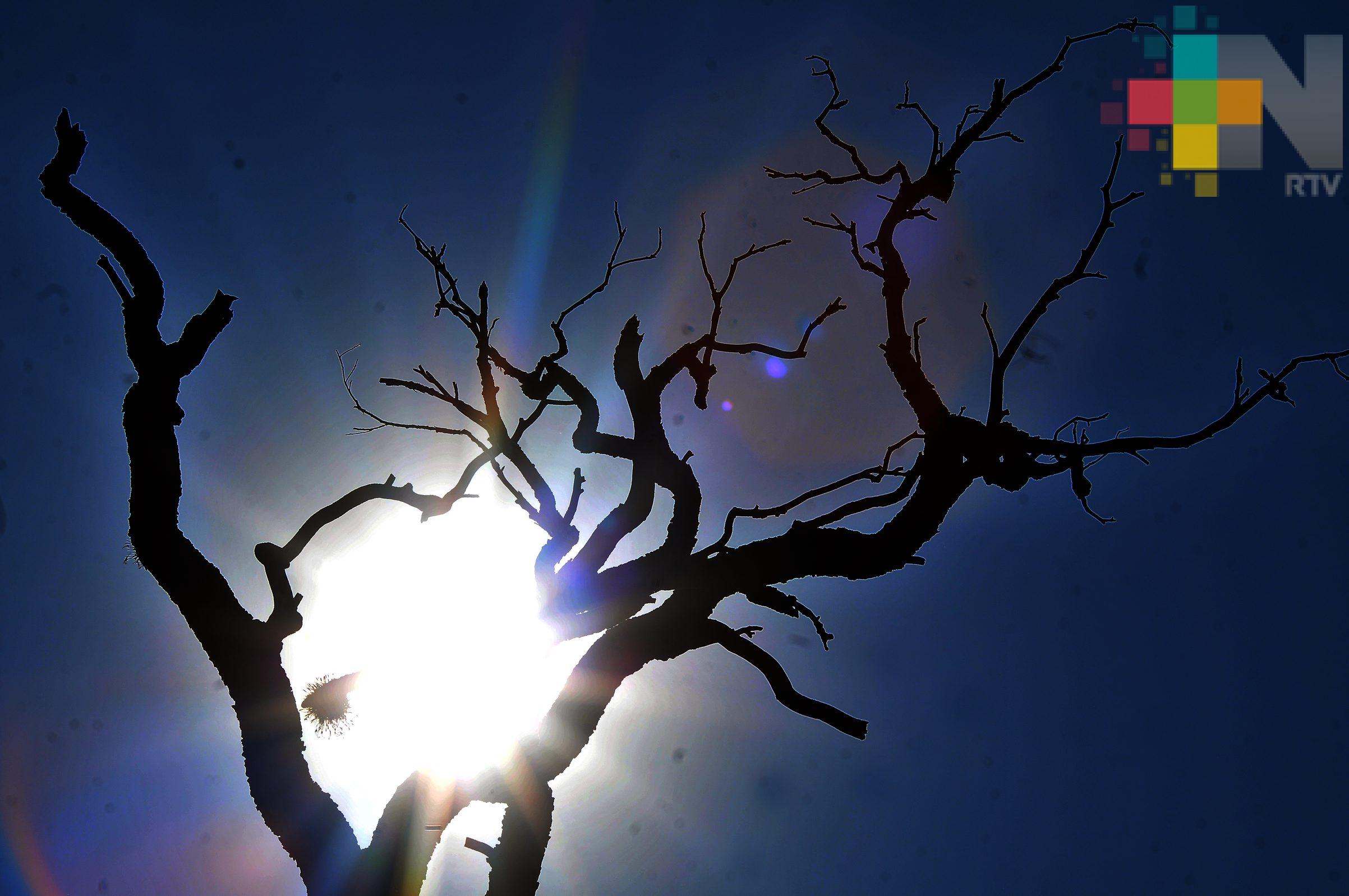 Se esperan altas temperaturas en la entidad veracruzana