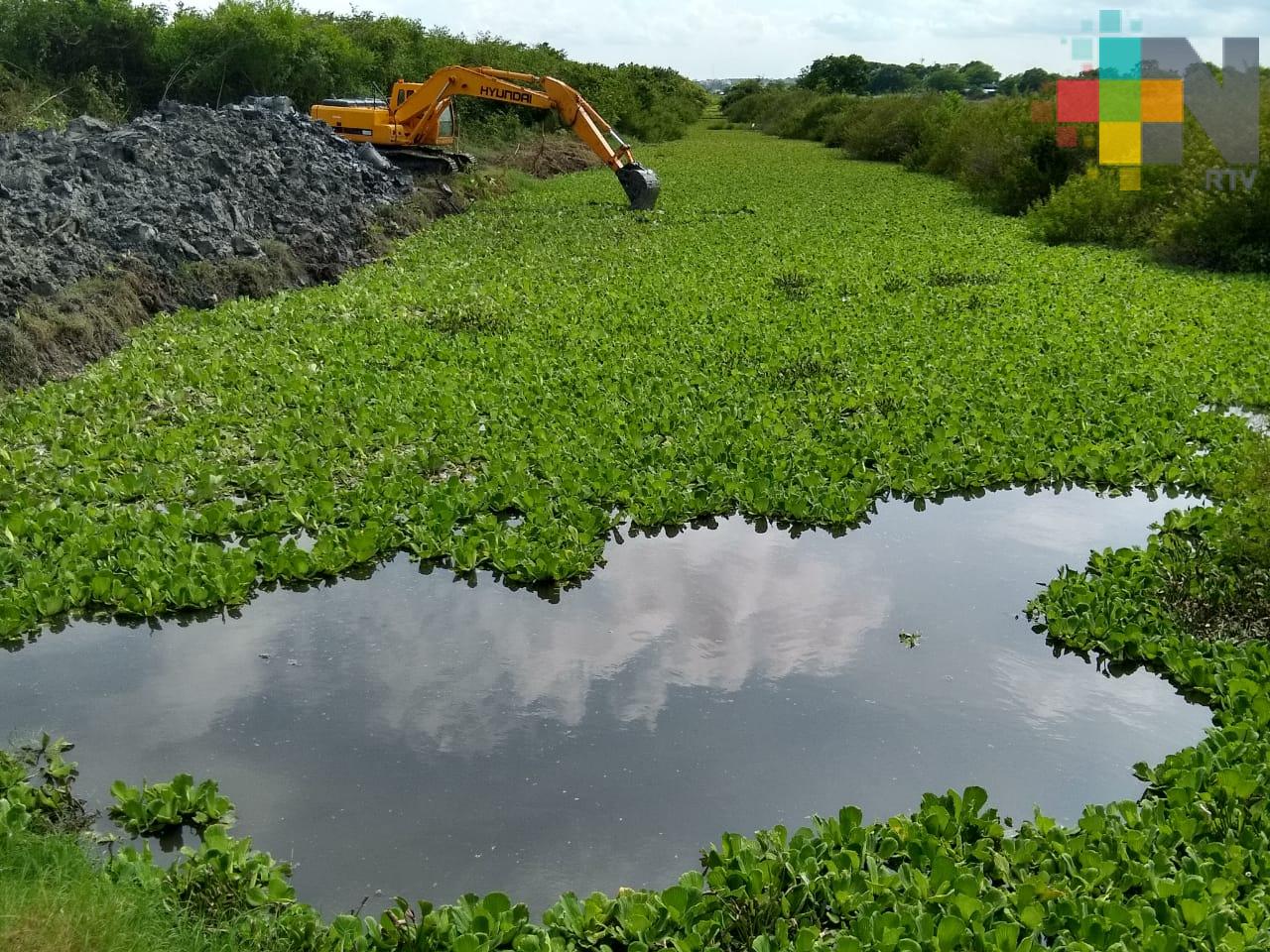Desazolvan zanja para evitar inundaciones en Tuxpan