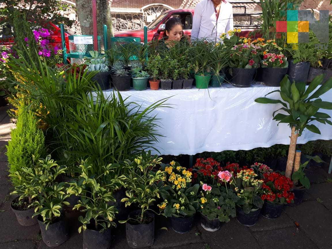 Se realiza la expo-venta Consume Local Xalapa 2018