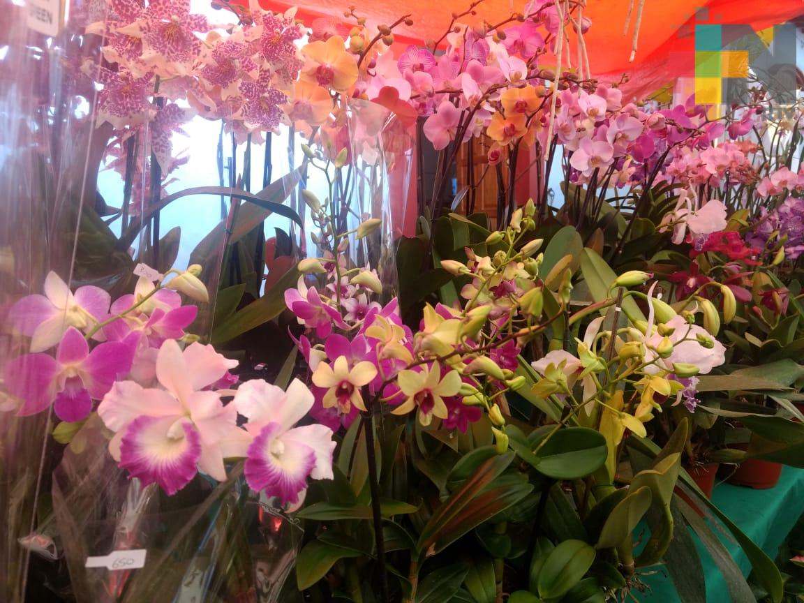 Realizan primera muestra de orquídeas en el parque Juárez de Xalapa