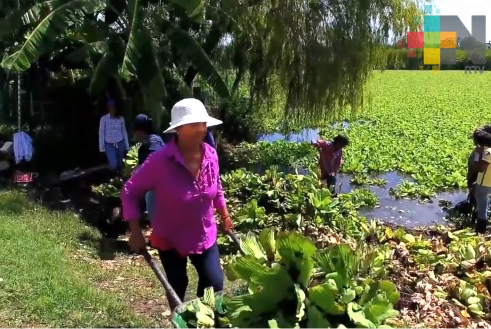 Rescatan la laguna La Espuma a través de programas sustentables