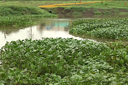 Lagunas del municipio de Veracruz, amenazadas por temporada de sequía: PMA