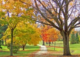 Mañana inicia el solsticio de otoño