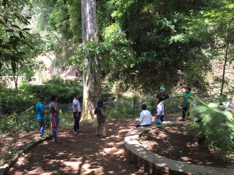 Convenio interinstitucional plantea conservación del Parque Lineal Quetzalapan-Sedeño