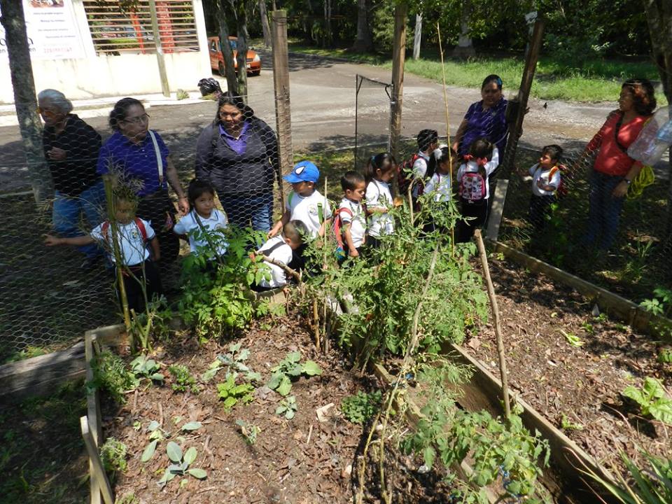 Niños participan en el rescate del río Sedeño