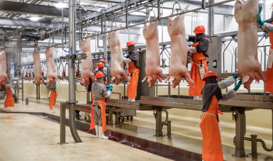 Aumenta superávit agroalimentario con Japón 9.2 por ciento en el primer semestre