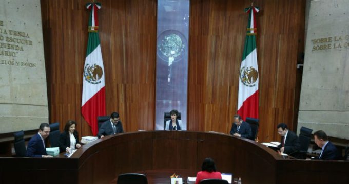 TEPJF desechó impugnaciones en contra de encuesta para renovación de la dirigencia de Morena