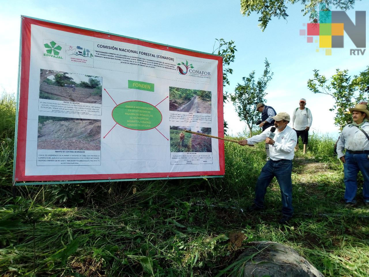 Fonden y Conafor realizan trabajos para evitar derrumbes en comunidades de Misantla