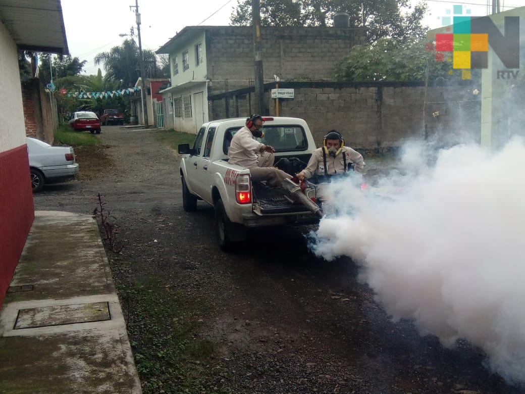 Intensifican combate al mosquito Aedes aegypti en Tantoyuca