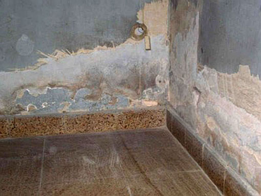 Importante cuidar viviendas de la humedad