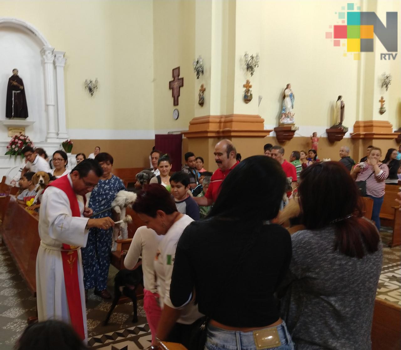 Realizan bendición de animales en iglesia de Xalapa