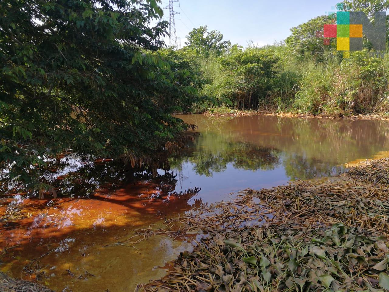 Nanchital suspende clases por efectos de derrame de hidrocarburo en arroyo Tepeyac