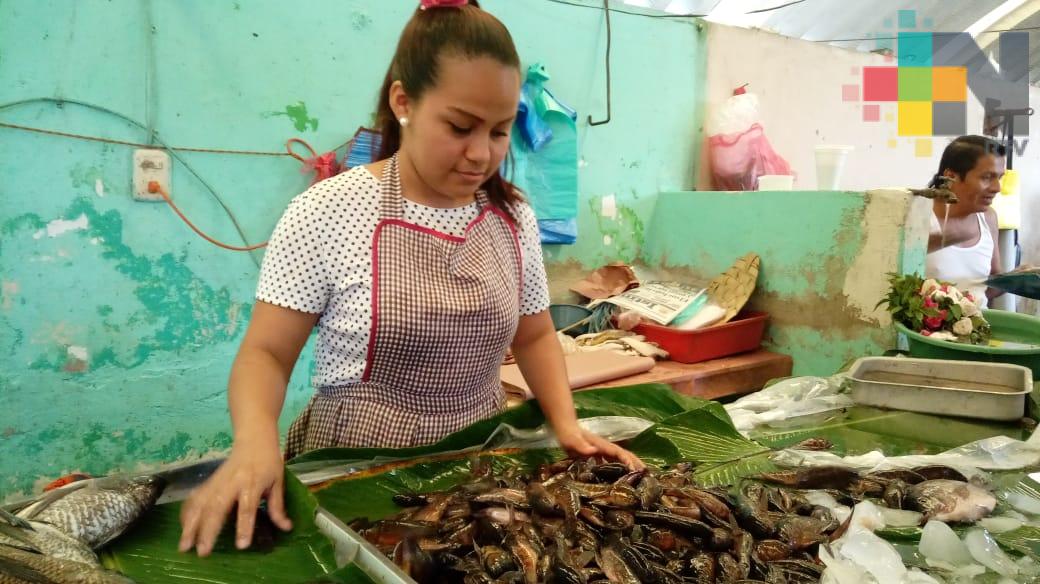 Con las lluvias, crece la demanda de «Nácaras” en Minatitlán