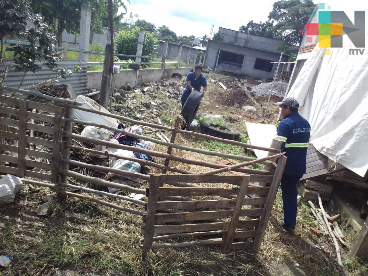 Captan siete toneladas de cacharros en limpieza de patios y lotes baldíos del municipio de Córdoba