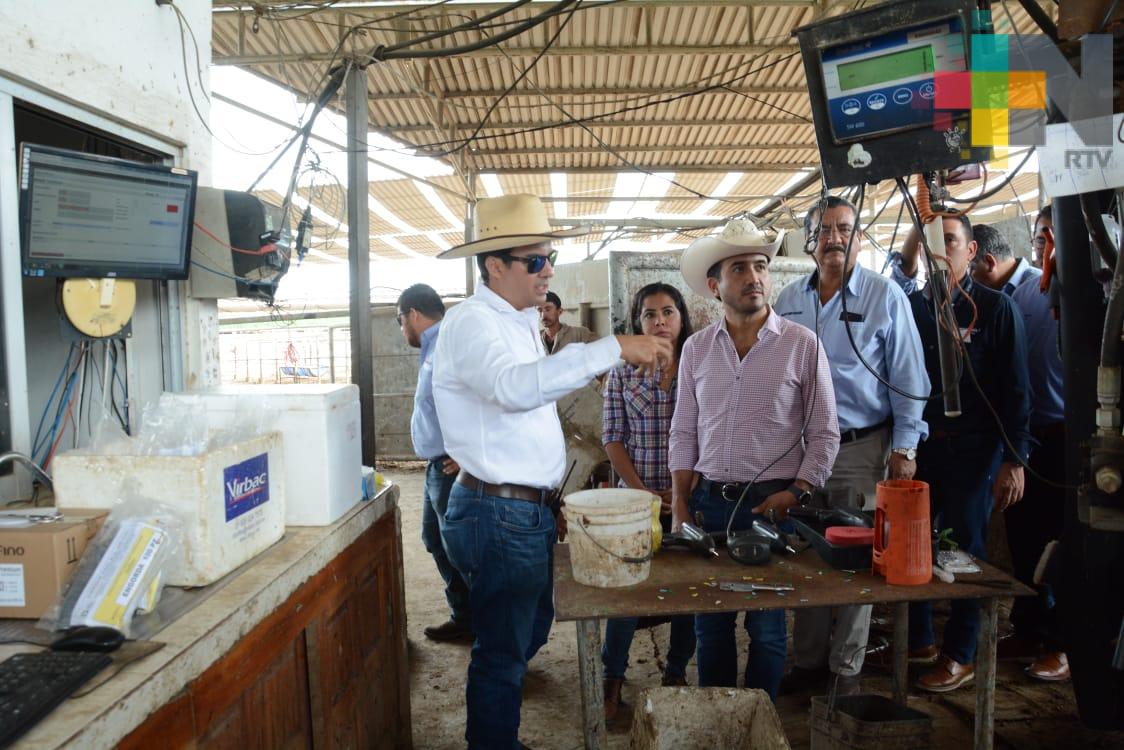 Ayuntamiento de Veracruz puso en marcha la campaña “Barrido contra la Brucelosis y Tuberculosis”