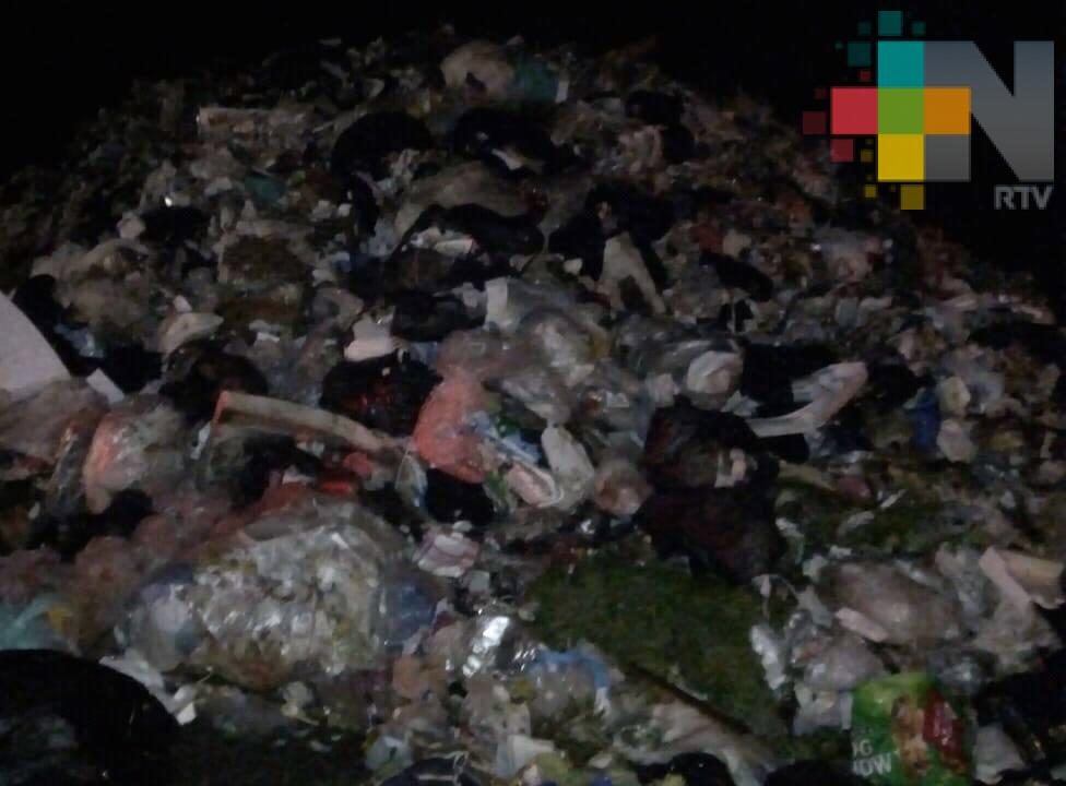 Del total de la basura, en México solo se recicla entre el 5 y 10 por ciento