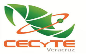 Presuntos acosadores de Cecyte-Veracruz fueron separados de funciones