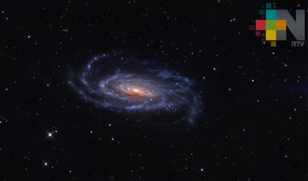 Muestran imagen de galaxia espiral en constelación los perros cazadores