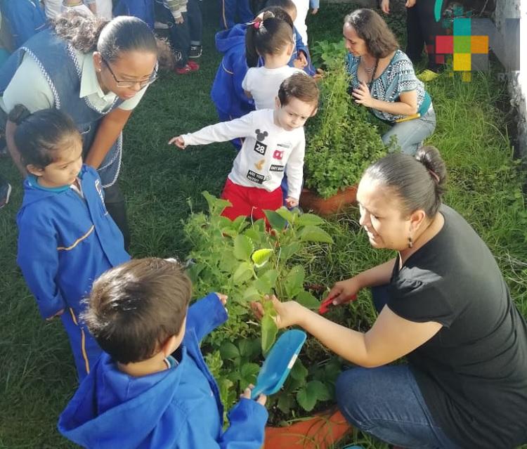 Educación ambiental se debe incluir al programa educativo: Ecokaans