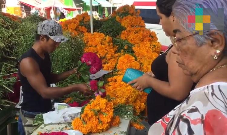 Cempasúchil y mano de león, imprescindible en festividades de Día de Muertos