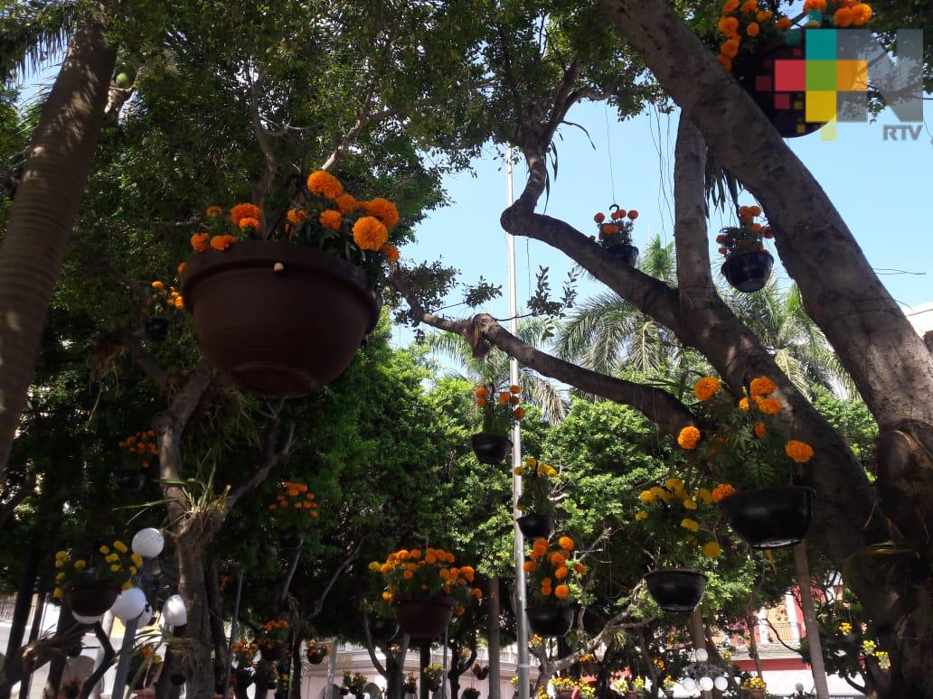 Adornan zócalo de Veracruz con flor de cempasúchil por Día de Muertos