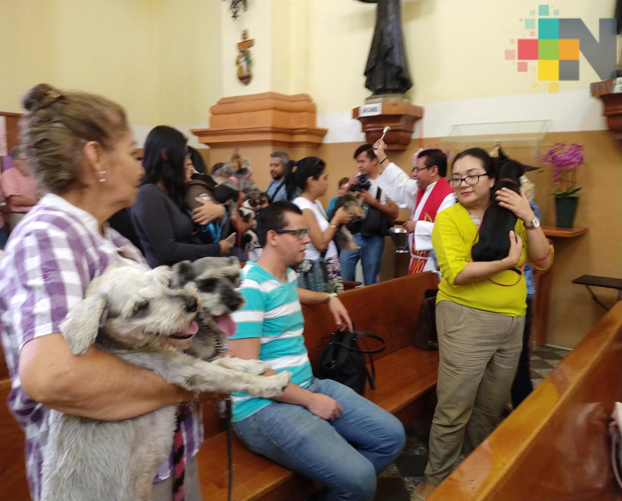 Cada cuatro de octubre, se bendice a los animales en honor a San Francisco de Asís