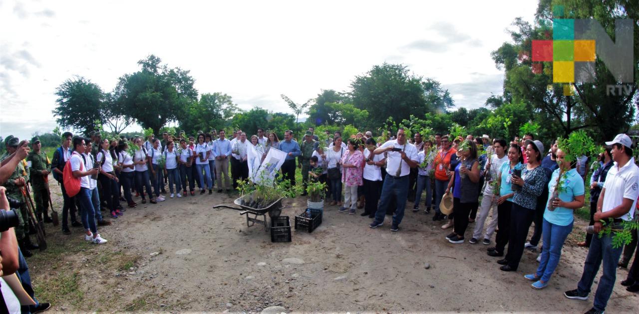 Autoridades y sociedad civil realizan reforestación en Martínez de la Torre
