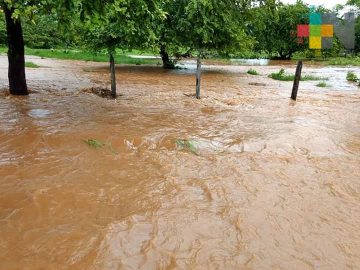 Afectaciones de cultivos, caminos y viviendas en Úrsulo Galván, Playa Linda y Minzapan por FF 6