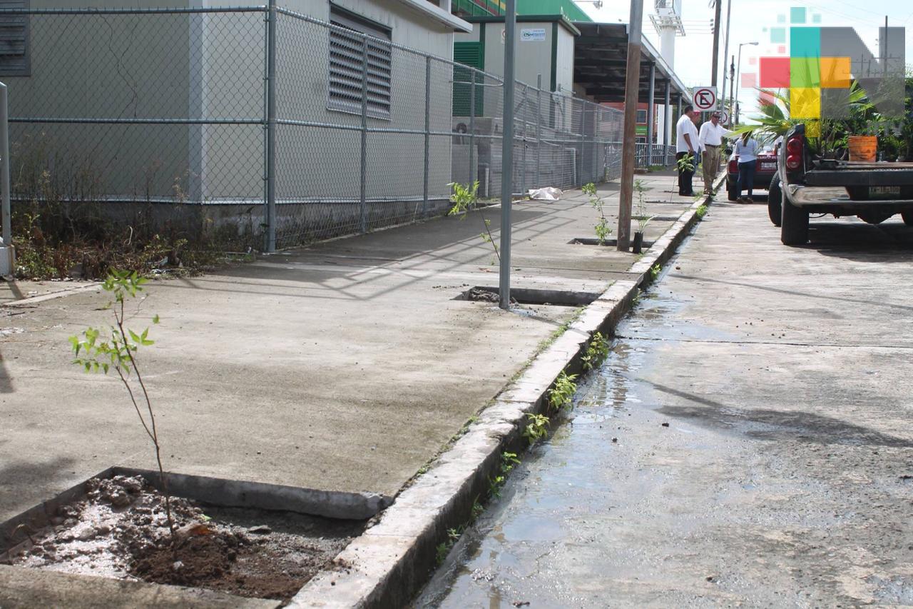 Inicia campaña de reforestación en Tierra Blanca