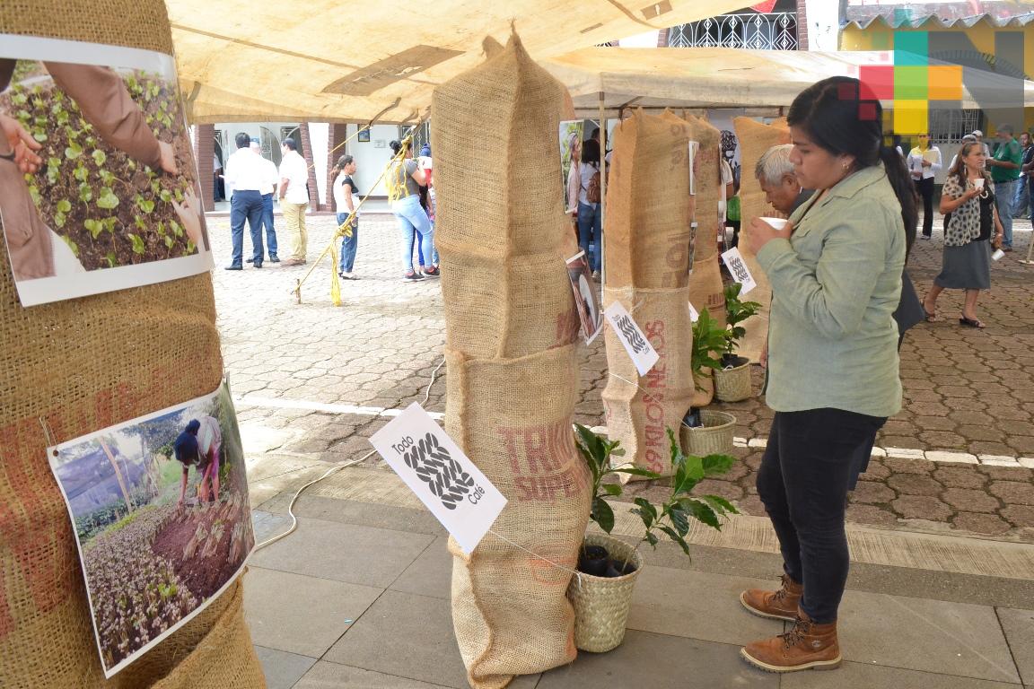 Celebran Día Internacional del Café en el municipio de Ixhuatlán del Café