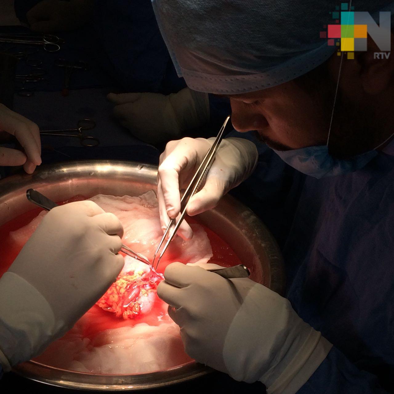 Mediante trasplante y terapia, IMSS mejora calidad de vida de paciente