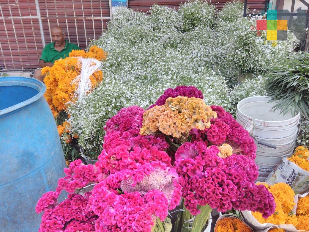 Durante festividades de Día de Muertos en zona de Veracruz-Boca del Río se estima una derrama económica de 15 mdp
