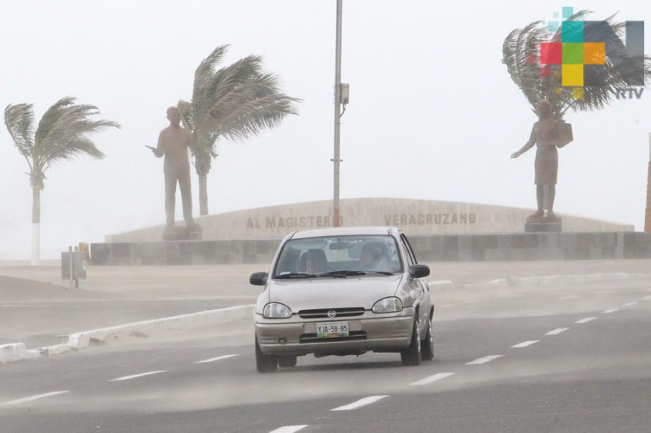 Sin reporte de daños por vientos de 80 km/h en zona Veracruz-Boca del Río