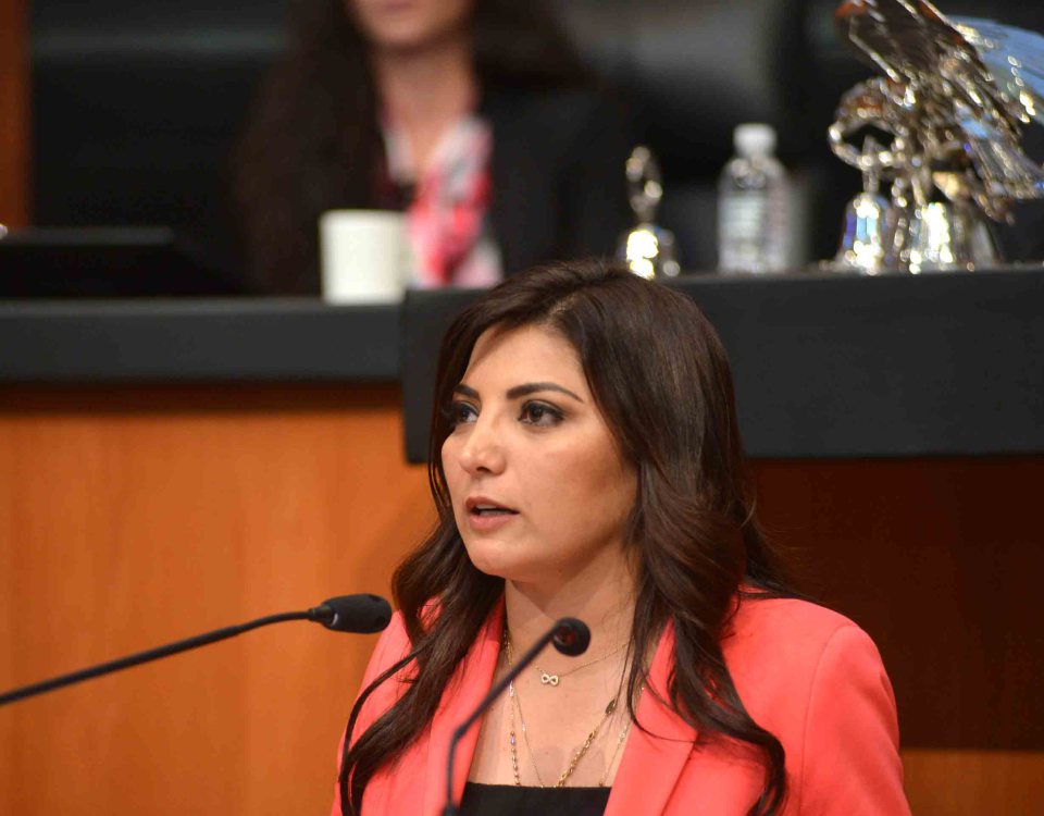 Las actividades del Poder Legislativo no se pueden paralizar: diputada Ayala Ríos