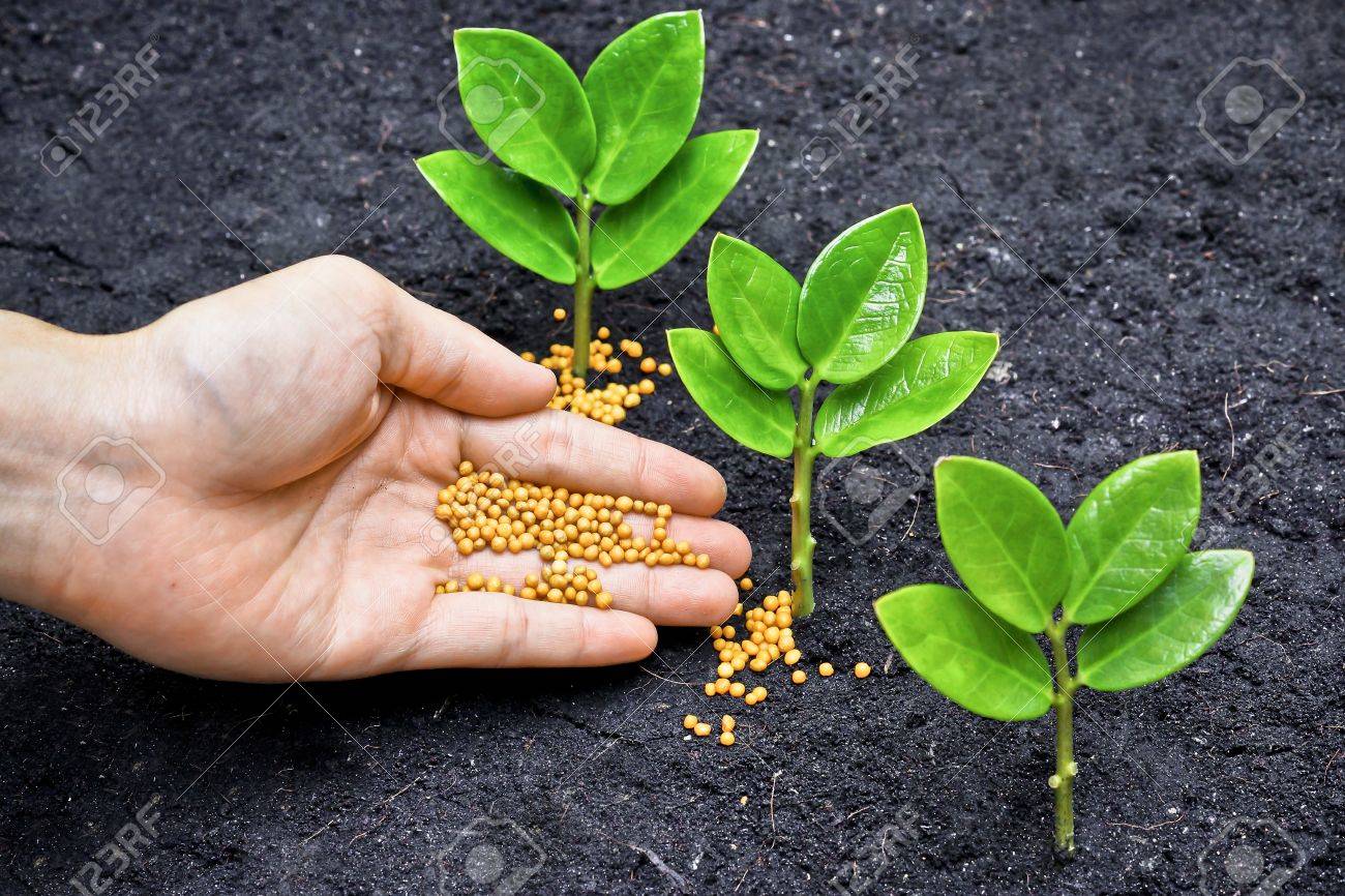 Evaluación y aprobación de fertilizantes garantiza seguridad y salud: Cofepris