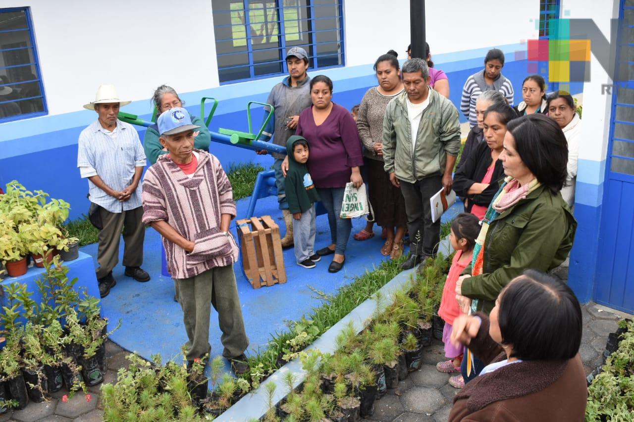 Entregan más de dos mil plantas ornamentales y medicinales a campesinos del municipio de Córdoba