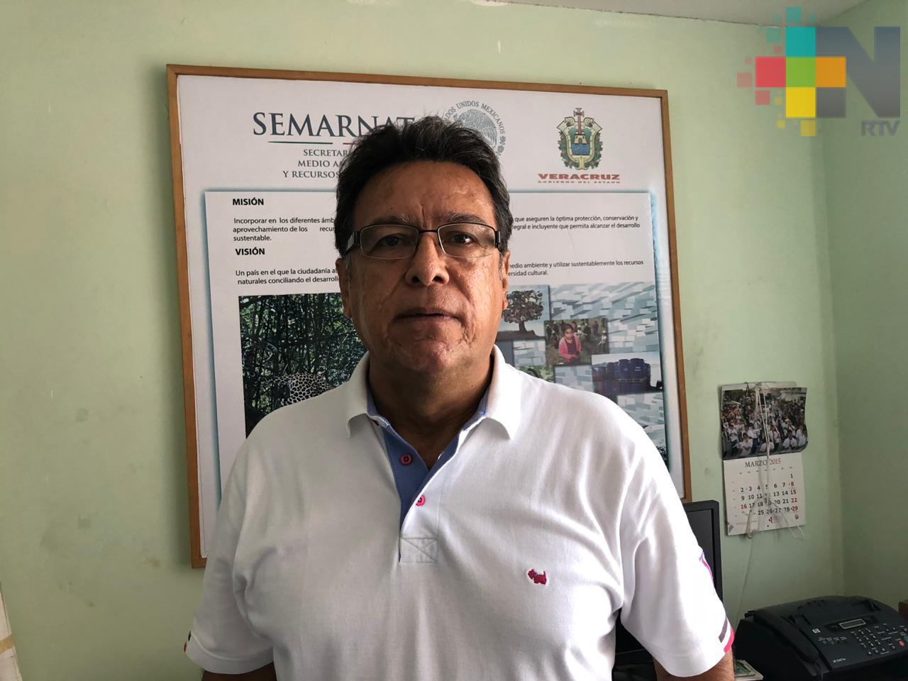 Semarnat ha realizado 20 estudios de impacto ambiental en la zona sur de Veracruz
