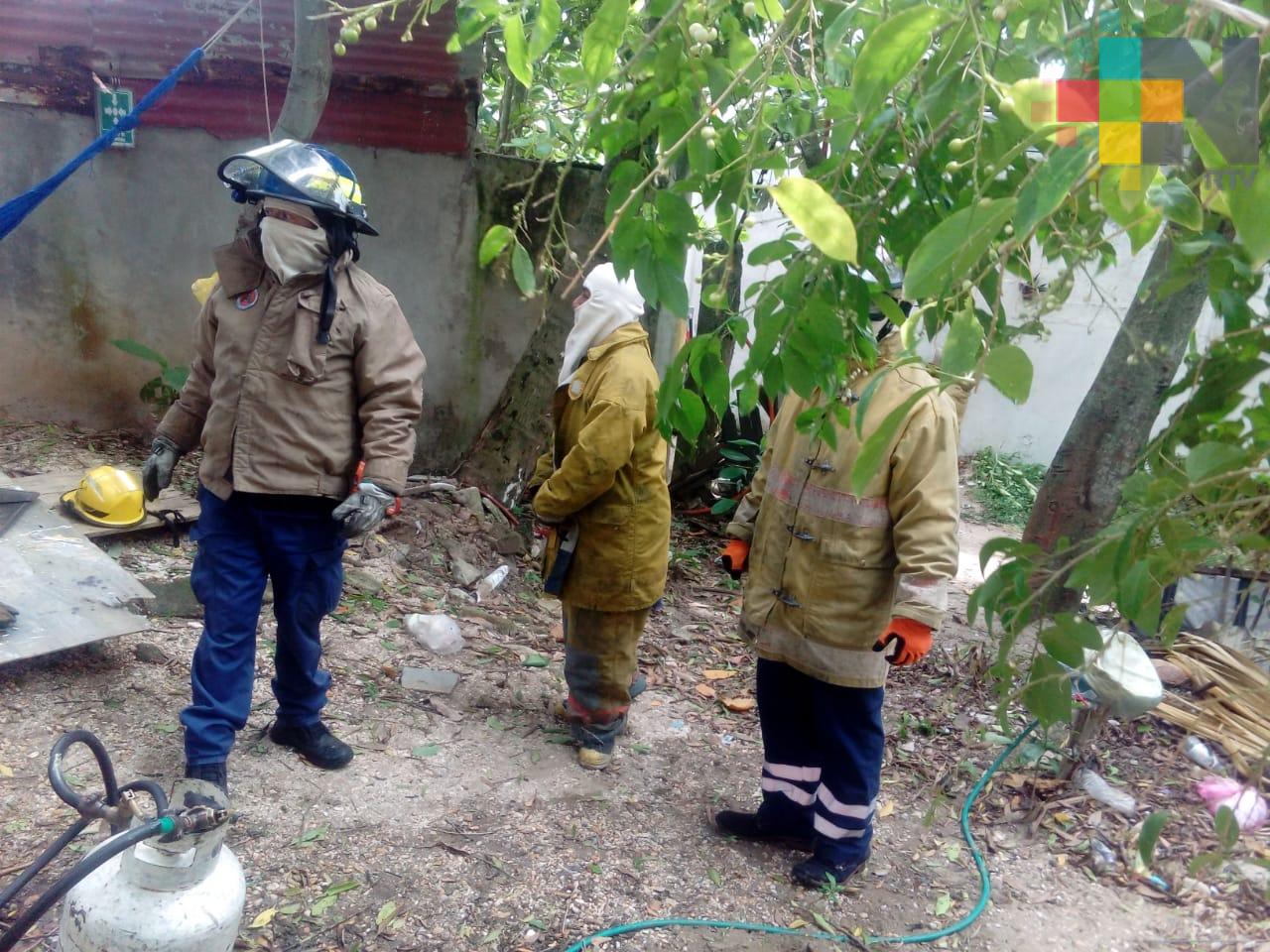 Abejas africanizadas atacan a familia, en Coatzacoalcos