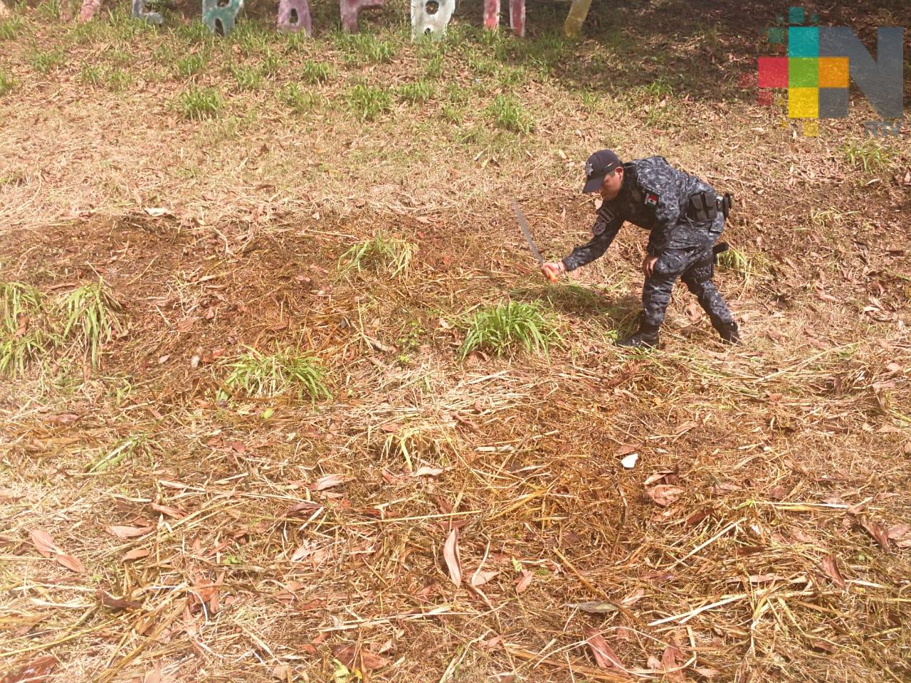 Gendarmería Nacional en Coatzacoalcos le apuesta al rescate de espacios públicos para prevenir delitos