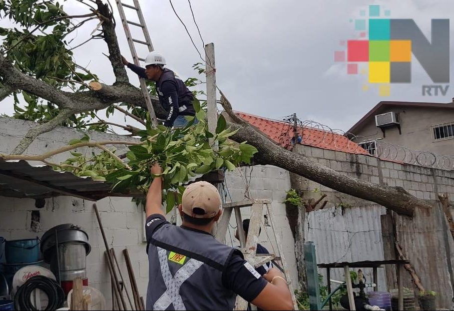 Afectaciones por Frente Frío 10 en el estado de Veracruz