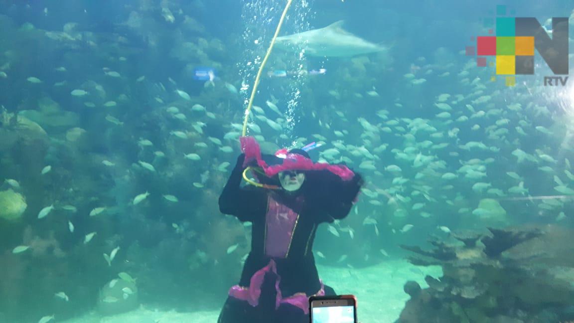 La Catrina ‘aparece’ en la pecera arrecifal del Acuario de Veracruz