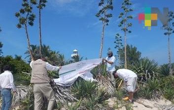 Impone Profepa multa de 4 mdp por fiesta en Isla Salmedina