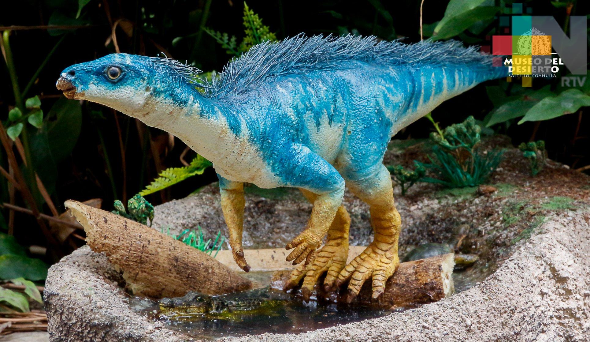 Expertos mexicanos y alemanes reportan primer hallazgo de Parksosaurido