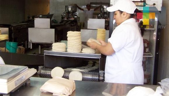 En Xalapa se han fortalecido las micro y pequeñas empresas: Diputada federal