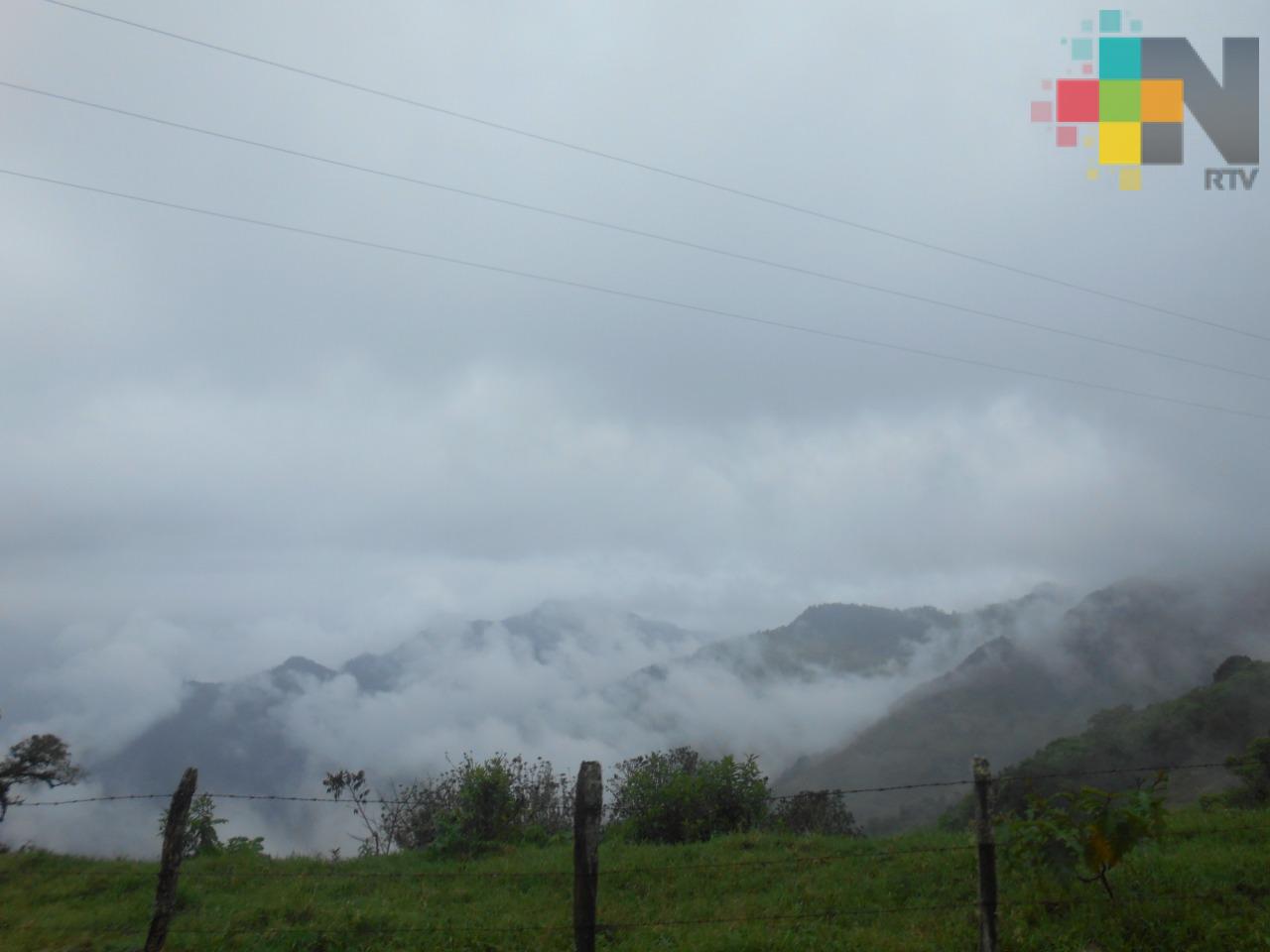 Siguen nieblas, lloviznas y lluvias en gran parte del estado de Veracruz